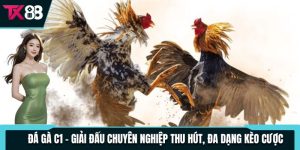 da ga c1 giai dau chuyen nghiep thu hut da dang keo cuoc